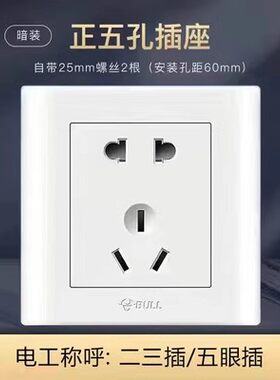 公牛圆孔老款白色五孔10年正品