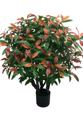 仿真植物红叶树绿植红楠树楠木树客厅落地盆栽装饰摆件厂家