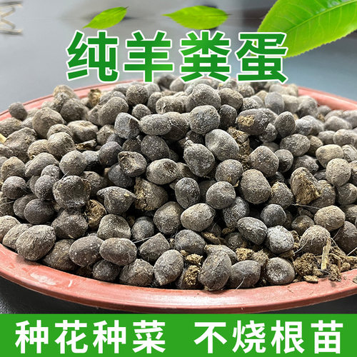 羊粪发酵有机肥纯羊粪蛋颗粒羊粪肥蔬菜花卉果树阳台盆栽月季肥料