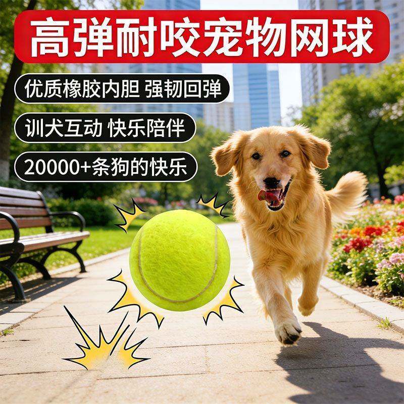 网球训狗专用球网球耐打训练网球耐磨幼儿园网球磨牙按摩宠物网球