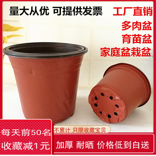 简易双色喷育苗喷塑料一次性花盆