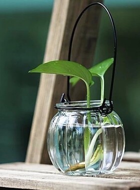 创意小清新铜钱草玻璃吊瓶透明水培玻璃花瓶水养植物小花盆摆件