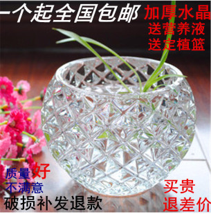 室内简约水晶玻璃花瓶透明绿萝水培花盆水养植物器皿仿真花插花瓶