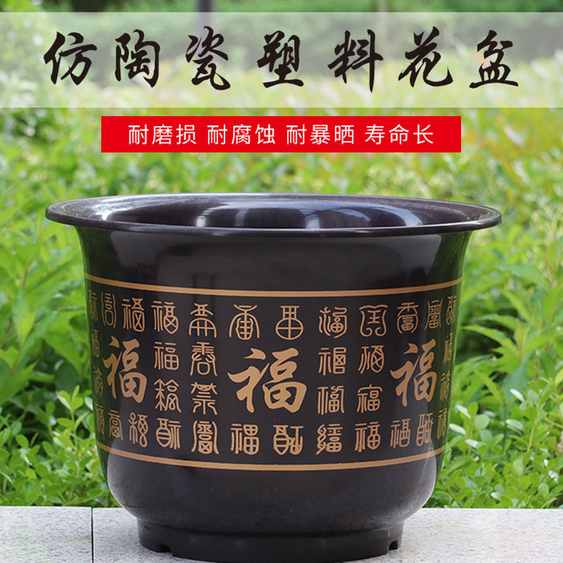 中国风特大号送托盘发财树