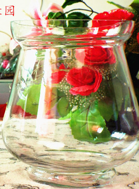 创意室内花卉绿萝水培花盆透明玻璃花瓶盆栽水养植物器皿鱼缸插花