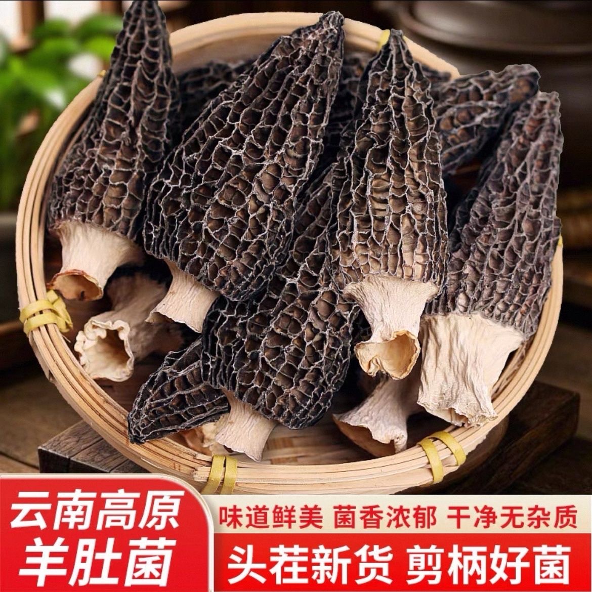 云南正品野生羊肚菌干货