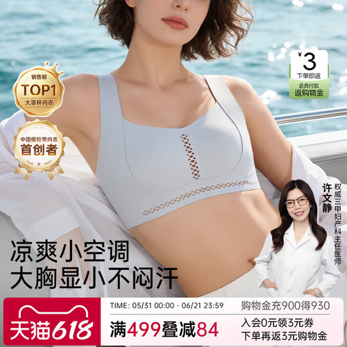 润微提拉大胸显小镂空透气内衣