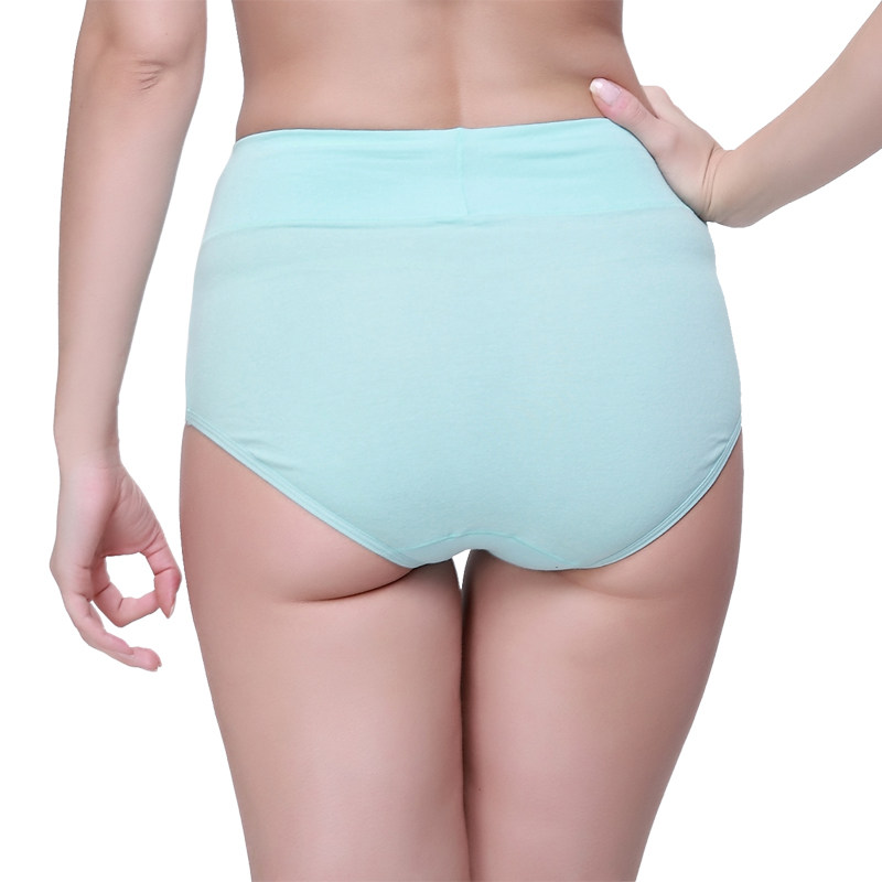 Slip jeunesse LW6050 en coton - Ref 669029 Image 3