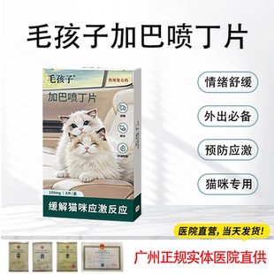 毛孩子加巴喷丁猫用片剂猫咪防应激药止疼舒缓情绪抗应激药