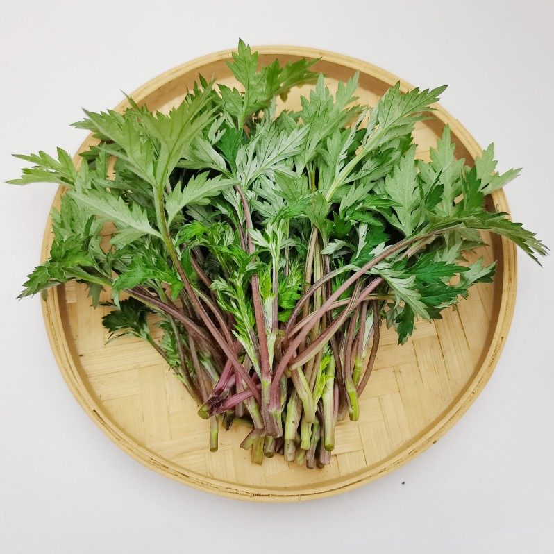 新鲜现摘野生食用小叶艾草红杆艾蒿青团材料嫩艾叶粑粑只摘嫩芽