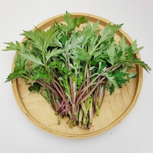新鲜现摘野生食用小叶艾草红杆艾蒿青团材料嫩艾叶粑粑只摘嫩芽