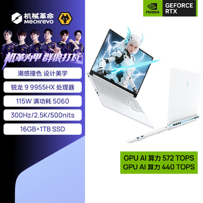 机械革命蛟龙16Pro16英寸独显