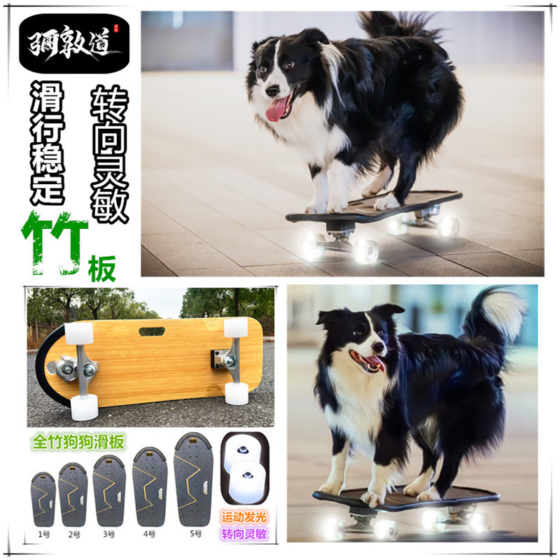 弥敦道竹木狗狗滑板发光转弯灵敏