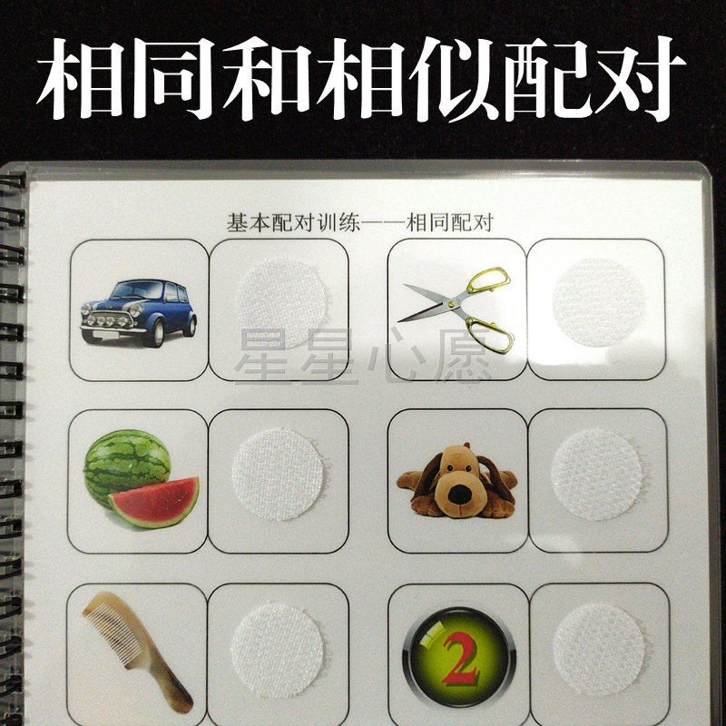 结构化作业 配对训练 相同相似影子功能配对自闭症发育迟缓适用