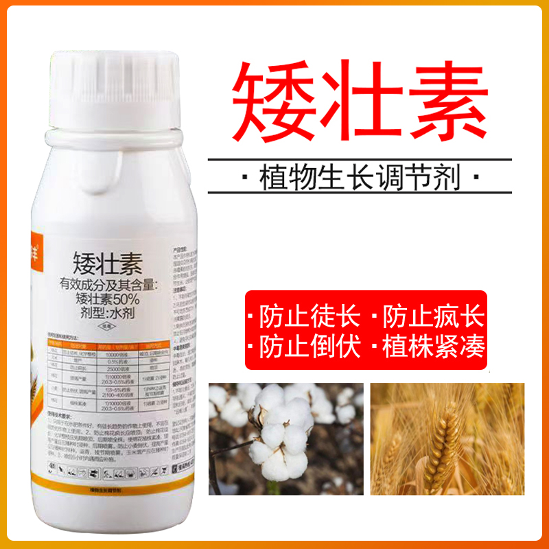 50%矮壮素玉米小麦棉花控旺农药生长调节剂