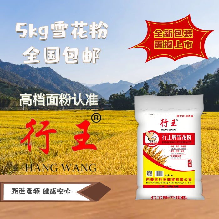 高筋面粉5公斤行王牌多用途小麦粉无添加面粉家用商用通用雪花粉