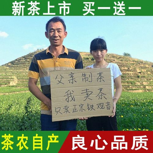 安溪铁观音浓香型铁观音