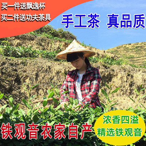 特级浓香型铁观音茶叶镇店之宝