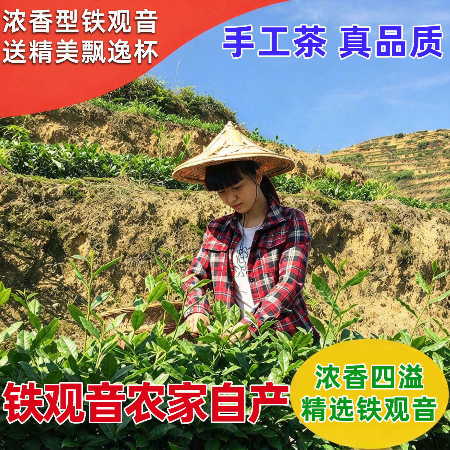 精选安溪铁观音秋茶铁观音茶叶正品特级浓香型铁观音500g镇店之宝