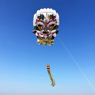 高档软体风筝立体无骨一夜暴富抗大风大型好飞易飞成人巨型 新款