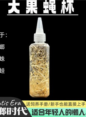 果蝇杯大果蝇小果蝇饲料螳螂食物跳蛛食物幼体食物残翅果蝇活体