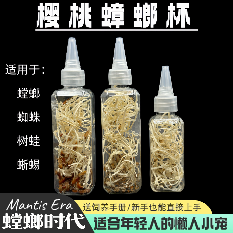 樱桃蟑螂杯樱桃红蟑螂罐装螳螂蜘特色爬宠/鸣虫