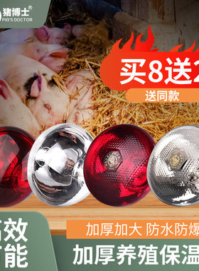 猪博士加厚养殖取暖灯保温灯防爆