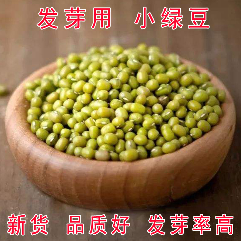 3斤发芽专用绿豆生苗芽菜小绿豆笨绿豆汤生豆芽煮粥食用原味1/2斤