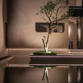 2晚含双早＋门店丰富权益 空山隐民宿1 温州泰顺