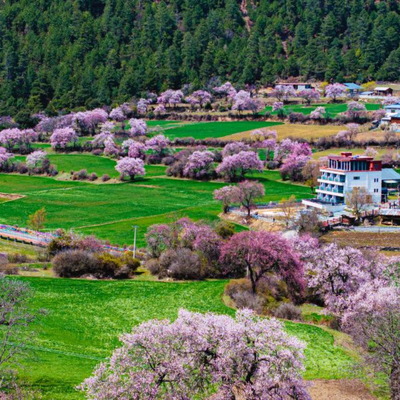 述野品牌7店通兑2晚可拆分西藏/湖北/江西3省+周末不加价+伴手礼