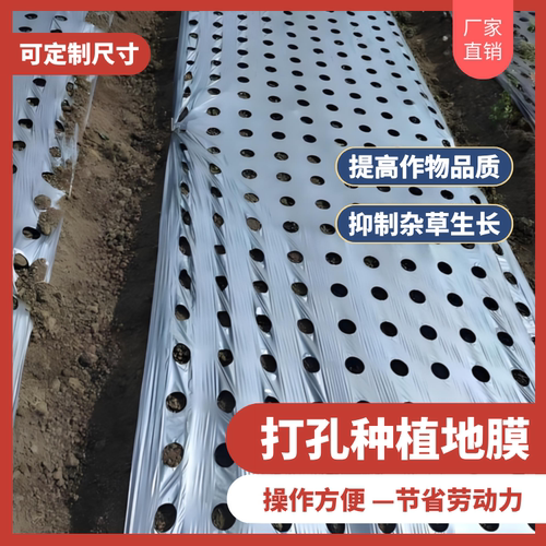 开孔地膜除草保温保湿种植专用膜