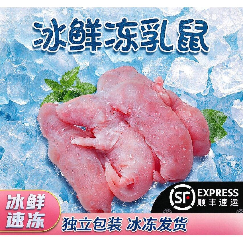 【顺丰】厂家直销冰冻小白鼠饲料爬虫鸣虫食物小白鼠乳鼠冰冻乳鼠