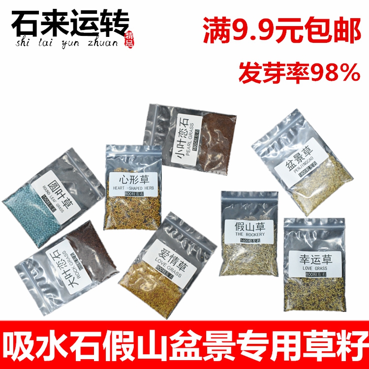 吸水石上水石苔藓微景观鱼缸造景圆叶三爱情幸运恋石心形草籽种子