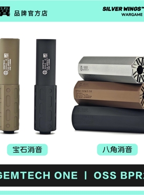 OSS BPR2 八角 ｜GEMTECH ONE 宝石  改装金属火冒装饰消音 银翼