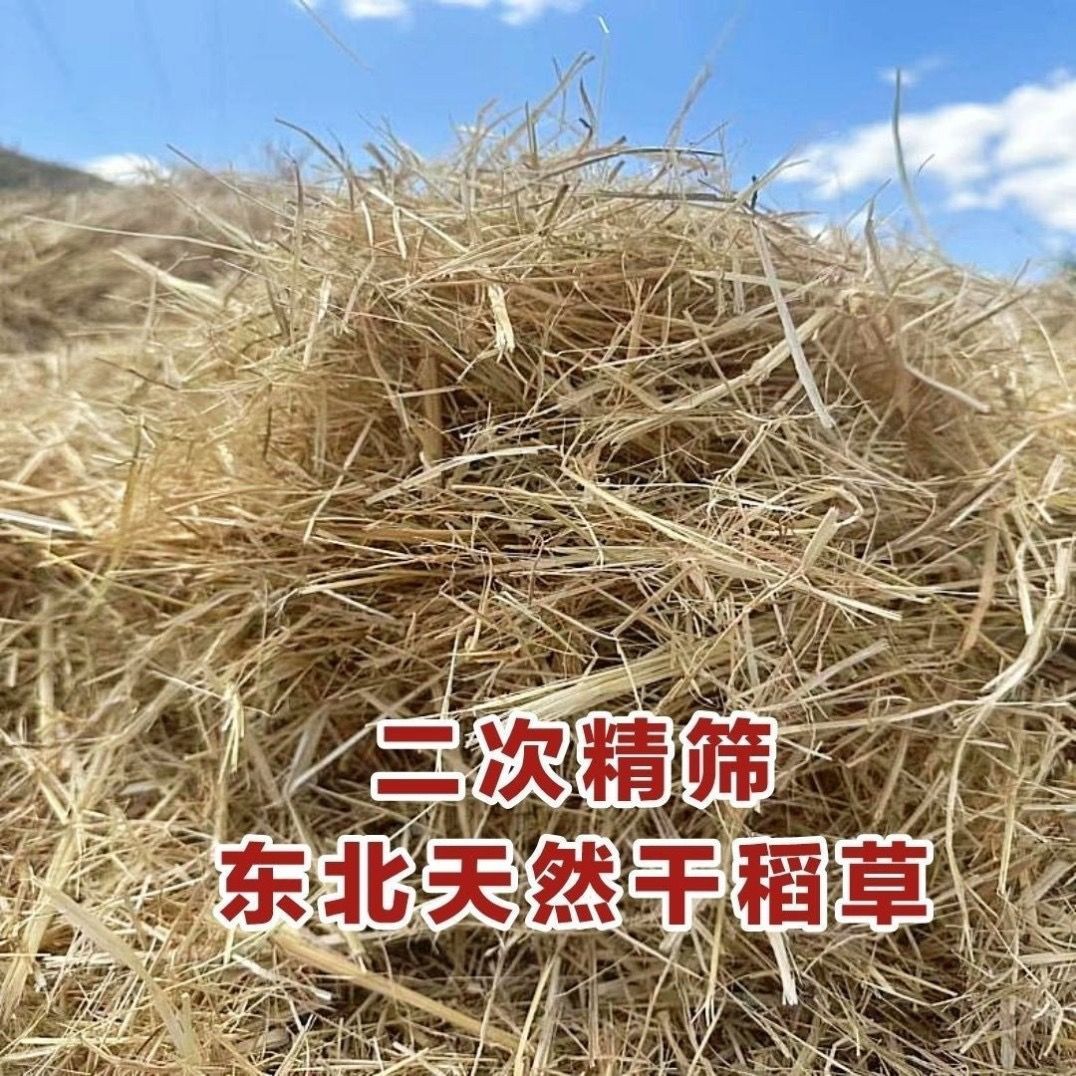 干燥稻草东北纯天然牛羊饲料鸡窝