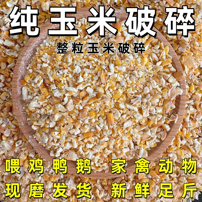 东北玉米碎粒原产地2026年批发款