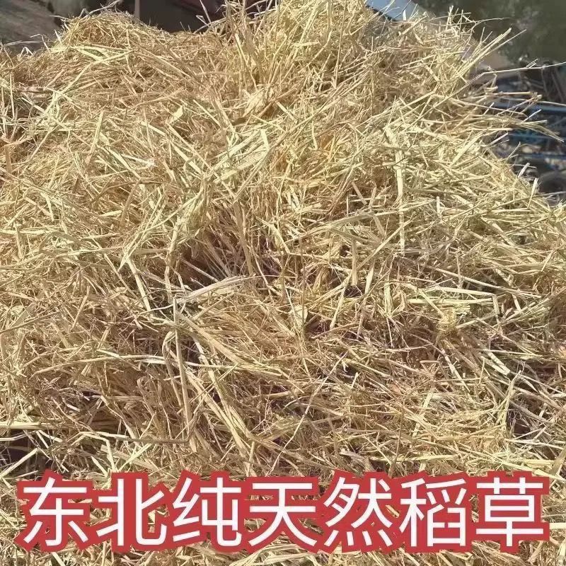 干燥稻草东北纯天然牛羊饲料鸡窝