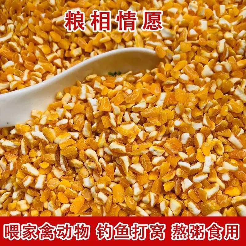 东北玉米碎粒原产地2026年批发款