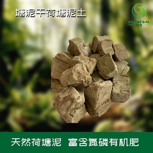 特价促销-优质兰花用塘泥(栽培介质)大颗粒花泥-大包装20斤包