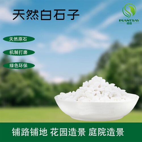小石头鹅卵石植语鱼缸盆景假山