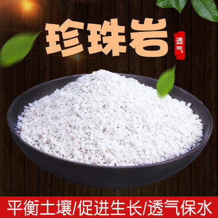 珍珠岩扦插发根养花颗粒植语