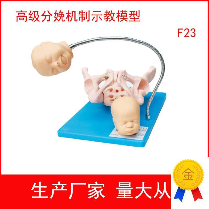 高级分娩机制示教模型可观察到分E娩时胎儿与骨盆妇幼训练模型