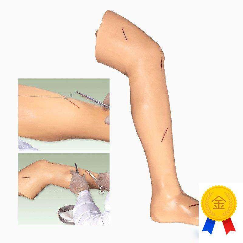 高级外科缝合下肢模型
