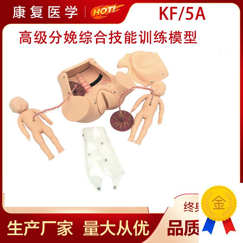 高级分娩综e合技能训练模型助产模型胎儿模型分娩综合技能训练模