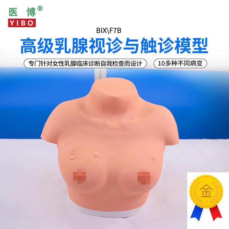 医博BIX-F7B高级乳腺视诊与触诊z模型乳房检查模型乳房乳腺病变检
