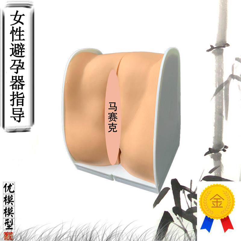 人体女性避孕器安装指导演示模型子宫生殖器O卵巢医院学校教学教