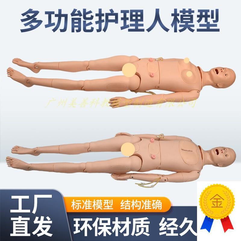 高级全功能护理人体模型男女w导尿模型带内脏褥疮口鼻插管吸痰洗
