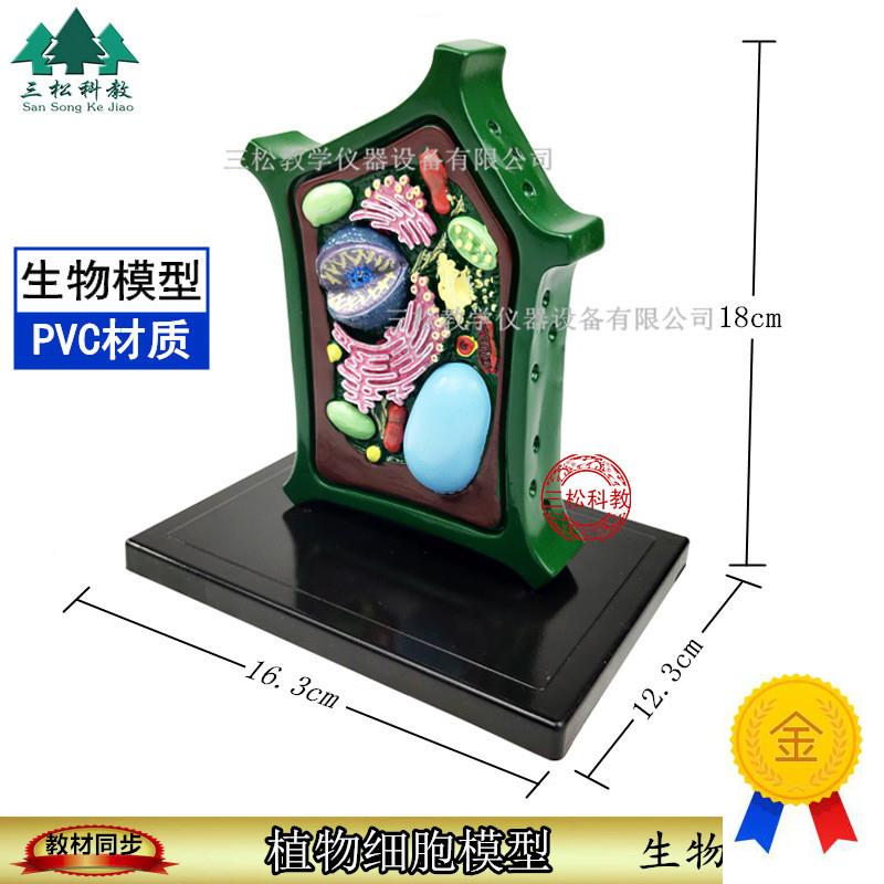 植物细胞模型生物解剖模型植物显F微标本教学教具细胞放大模型