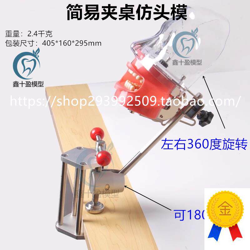 牙科模型夹桌式简易头模口腔x备牙模型器械离体牙可调节替换牙齿