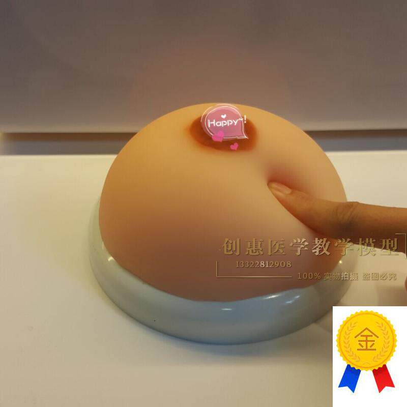 假乳义乳_女性乳房模型_催乳师培训道具_M哺乳教学模具催乳教育具